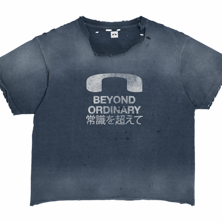 "BEYOND ORDINARY" (pre-order)